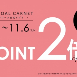 POINT2倍【最大12%還元！！】11/06まで♡WACOAL CARNET