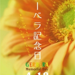 【フローリスト京阪】4月18日はガーベラ記念日！