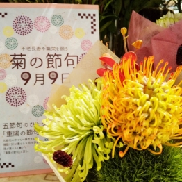 【フローリスト京阪】9月9日は秋のお花を飾って「重陽の節句」