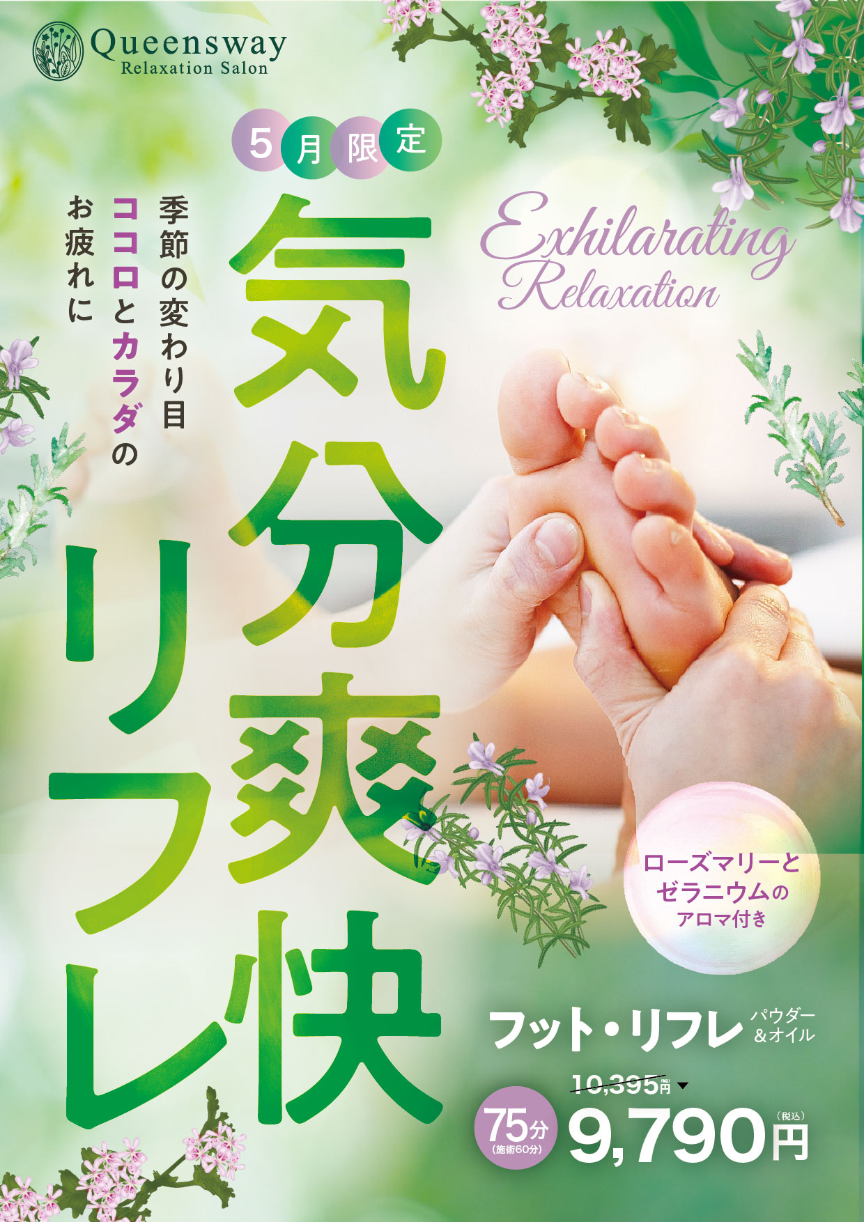 5月限定コース