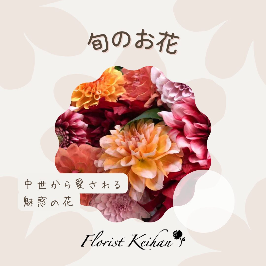10月のお花