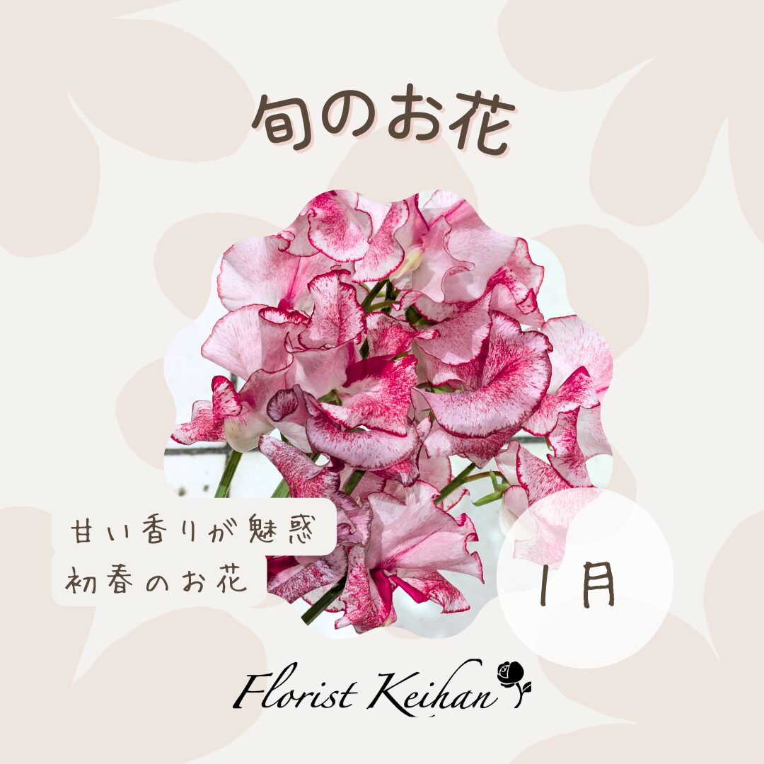 1月のお花