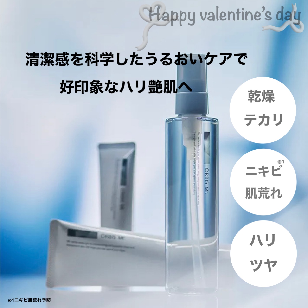 バレンタインギフトにおすすめ💝オルビスMr.シリーズ