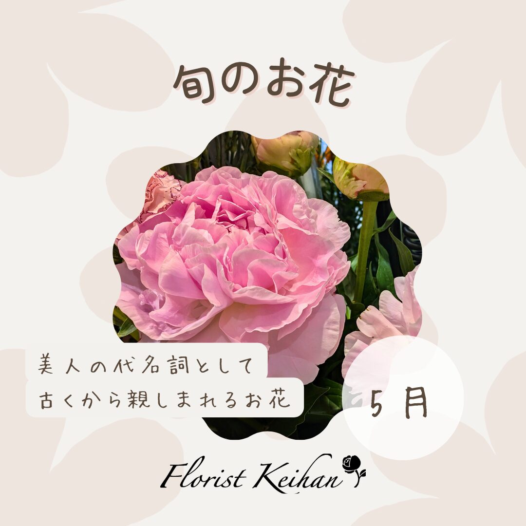 5月のお花