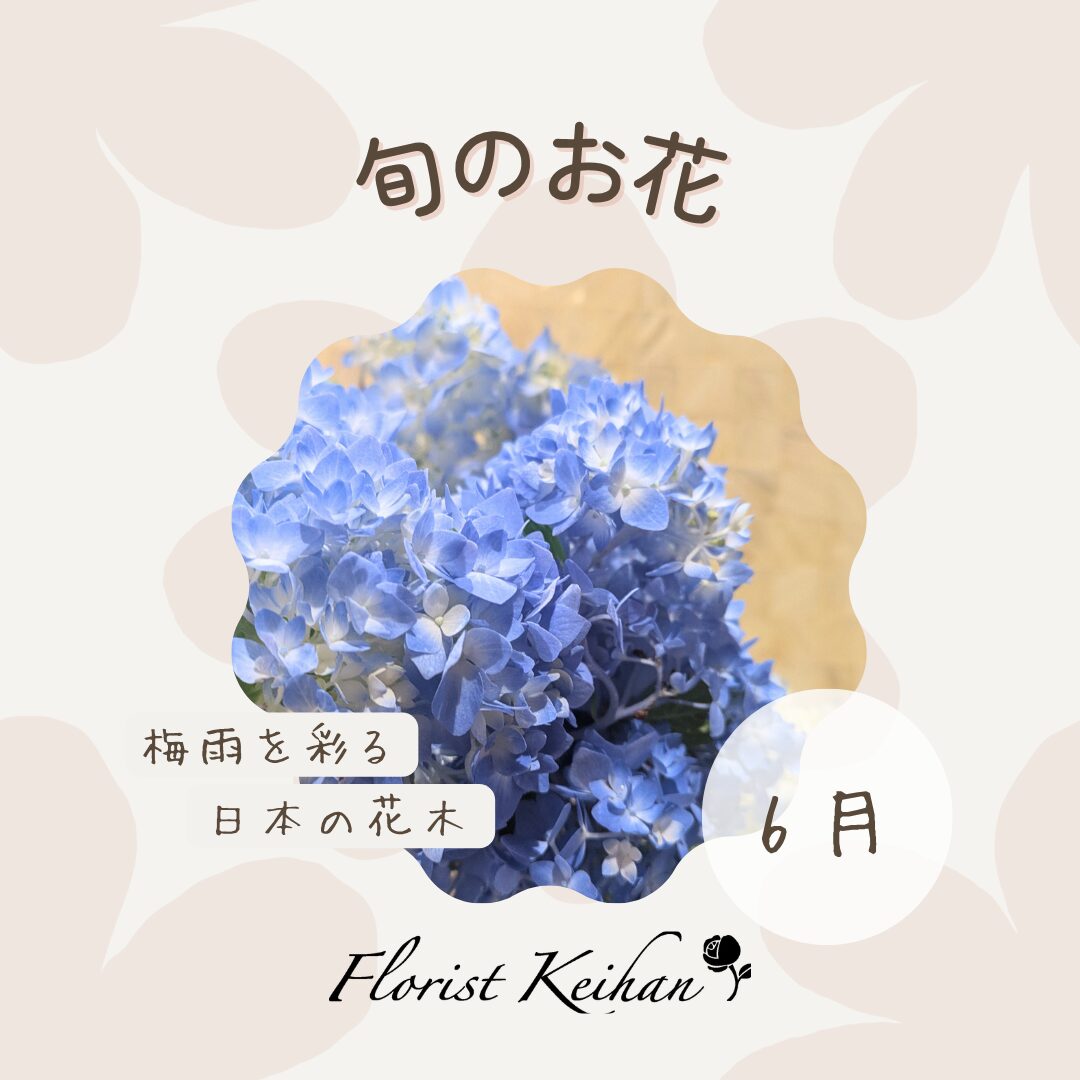 6月のお花