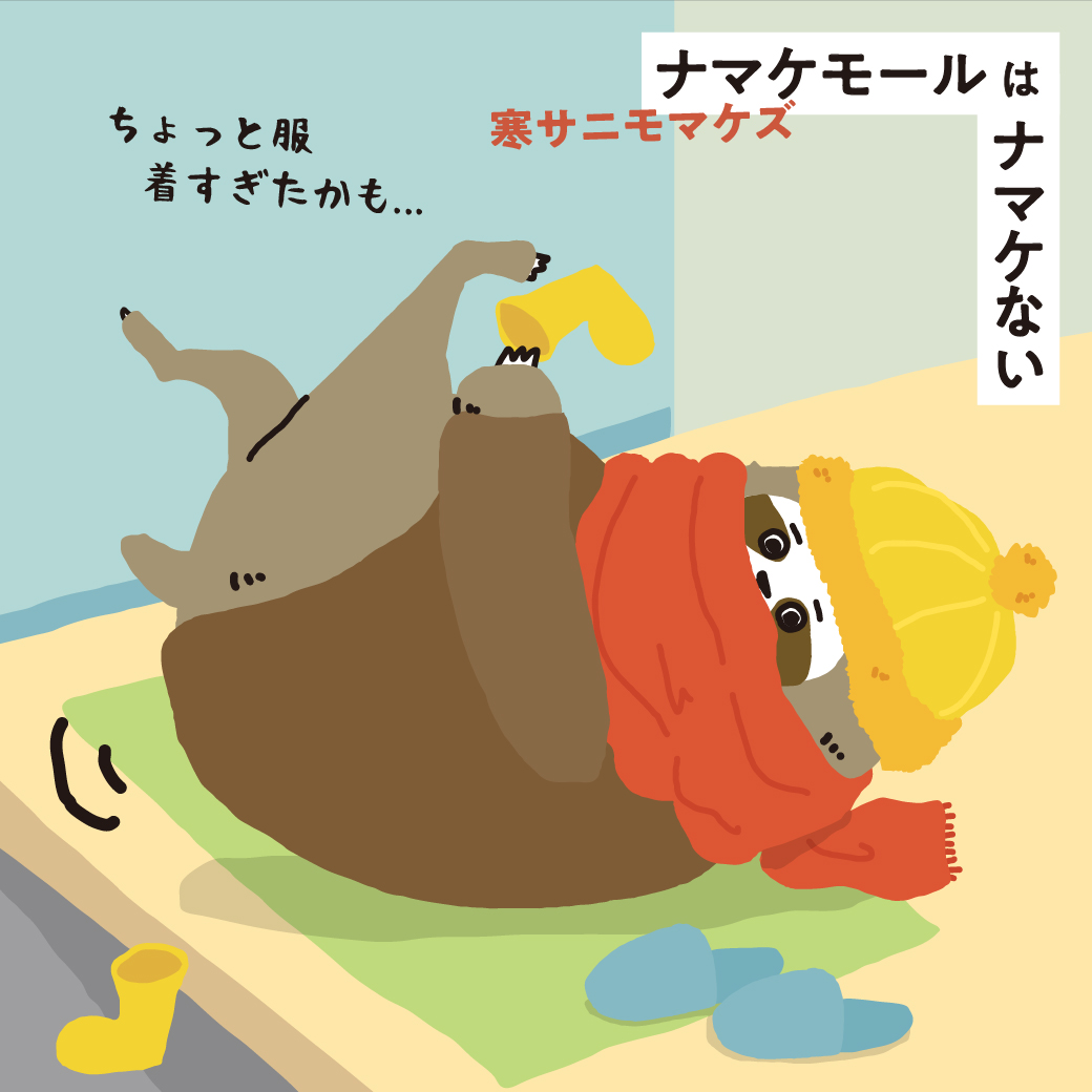 【ナマケモール】寒さ対策　2026
